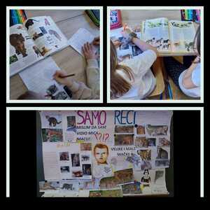 viber slika 2026 03 08 20 28 31 081