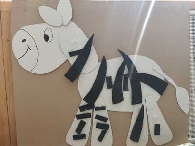 zebra