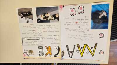 Adobe Express   file (1)