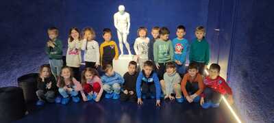 IMG 4223