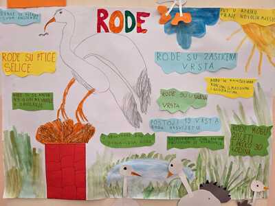 plakat rode