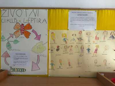 ŽIVOTNI CIKLUS LEPTIRA