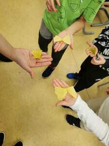 IMG 20241205 WA0057 (1)
