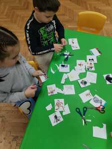 IMG 20260122 082426 (Medium)