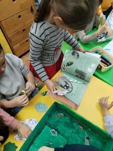 IMG 20260122 102656 (Medium)