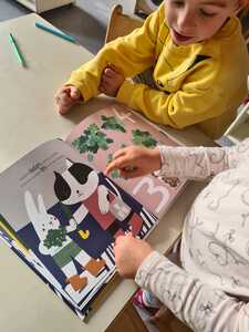 WhatsApp Image 2026 02 08 at 15.50.12 (12)