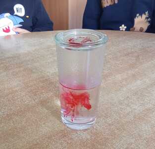 IMG 20251028 101724
