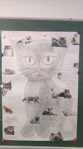 IMG 20260112 WA0004