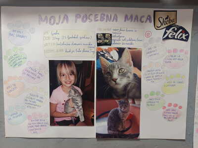 moja posebna maca