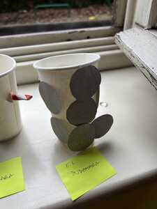 IMG 7681