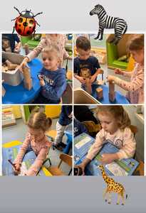 WhatsApp Image 2026 02 23 at 07.02.02 (3)