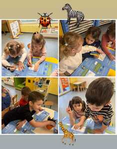 WhatsApp Image 2026 02 23 at 07.02.02 (1)