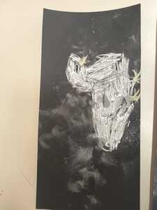 IMG 20260507 WA0004