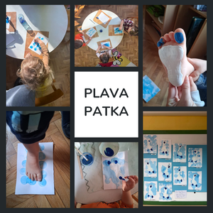 plava patka
